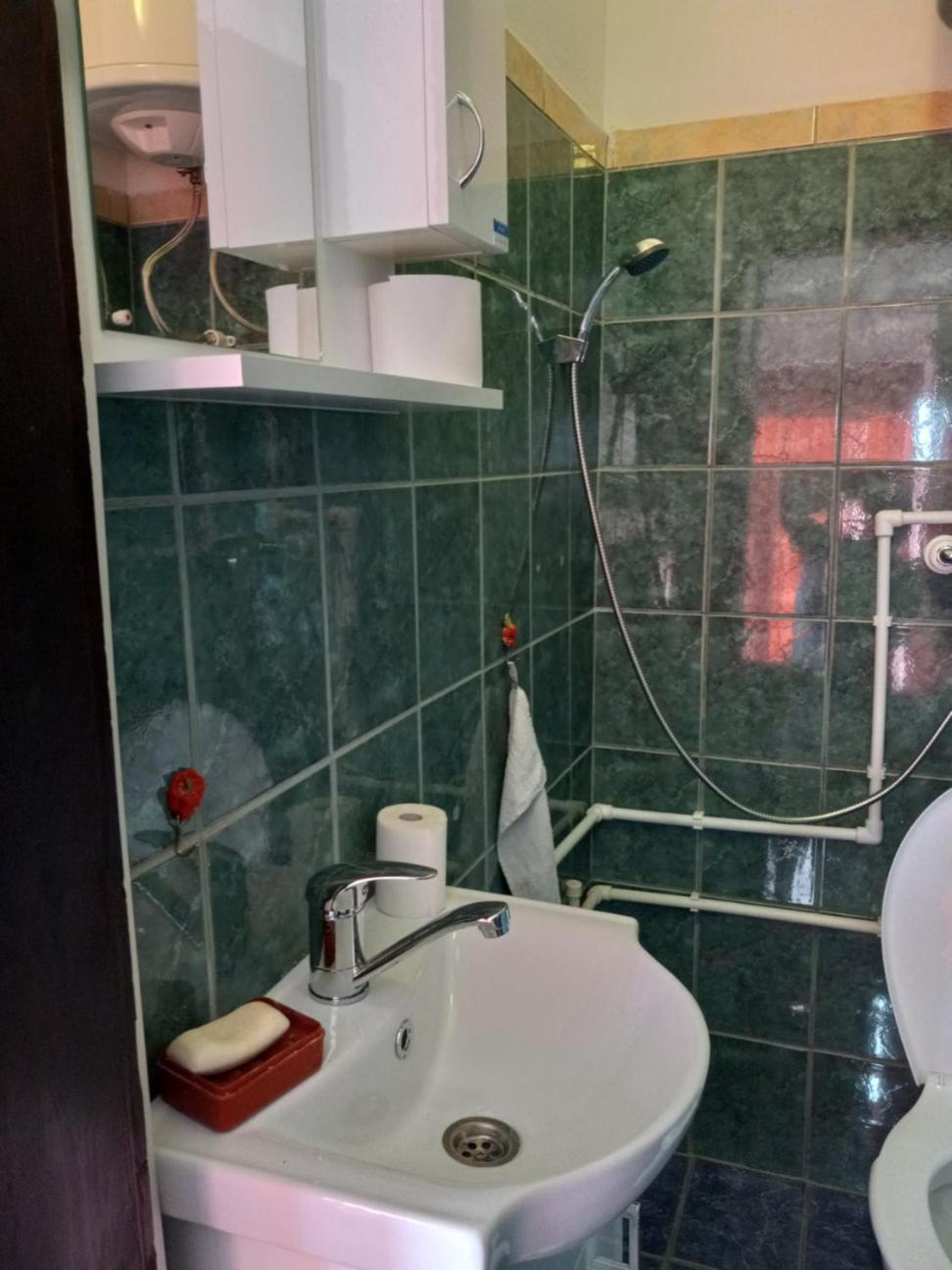 Apartman Sani 돈지 밀라노바츠 외부 사진